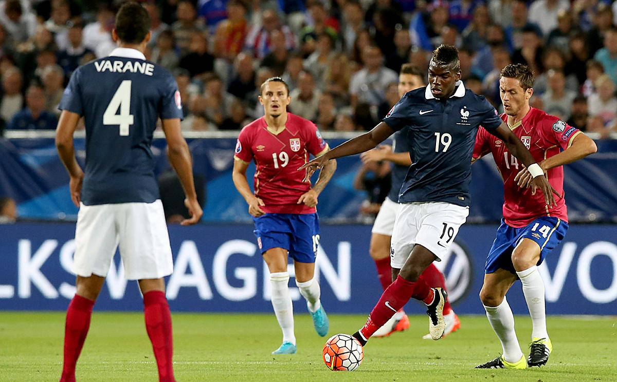 包含欧预赛胜利后的庆典盛况：球员们共同庆祝的词条