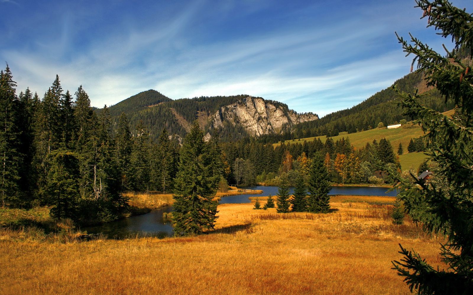 卡瓦哈尔，从冰封替补到世界焦点，一场比赛改写命运