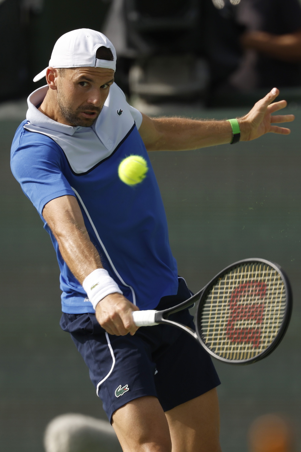 戴维斯杯绝杀澳网,梅德韦杰夫惊艳四座的简单介绍 戴维斯杯绝杀澳网,梅德韦杰夫惊艳四座的简单介绍