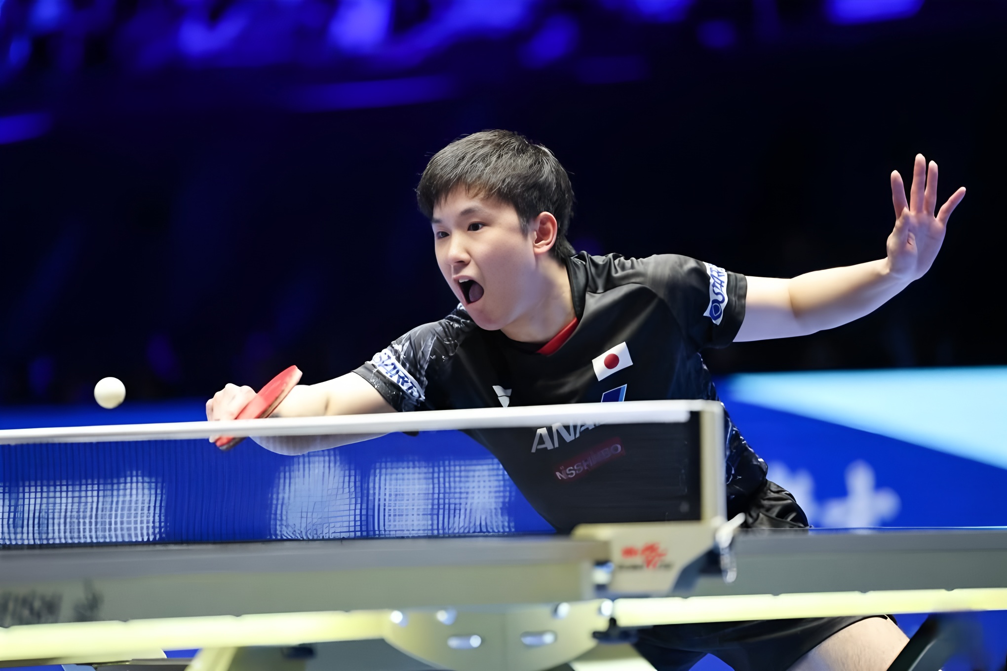 包含韩国队鏖战波兰队,张本智和刷新纪录的词条 包含韩国队鏖战波兰队,张本智和刷新纪录的词条