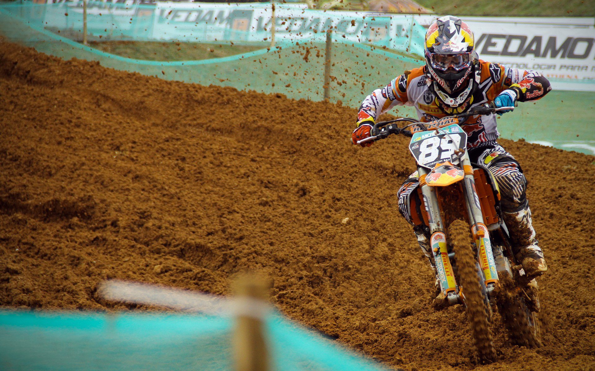 当雨林遇见峡湾,库尔图瓦用数据冰封了哥斯达黎加的奇迹基因